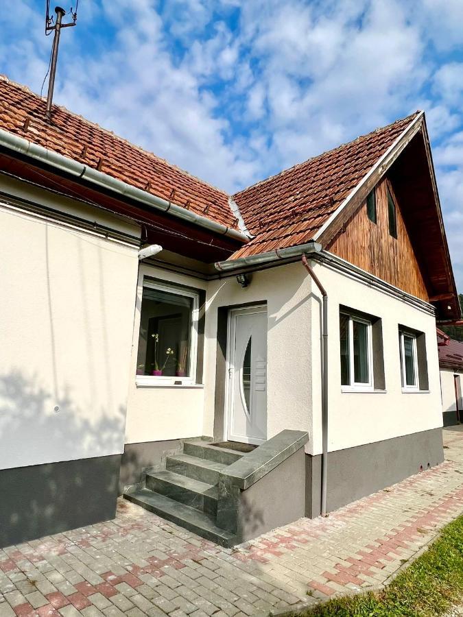 Silver House Rasnov Extérieur photo