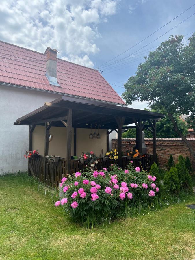 Silver House Rasnov Extérieur photo
